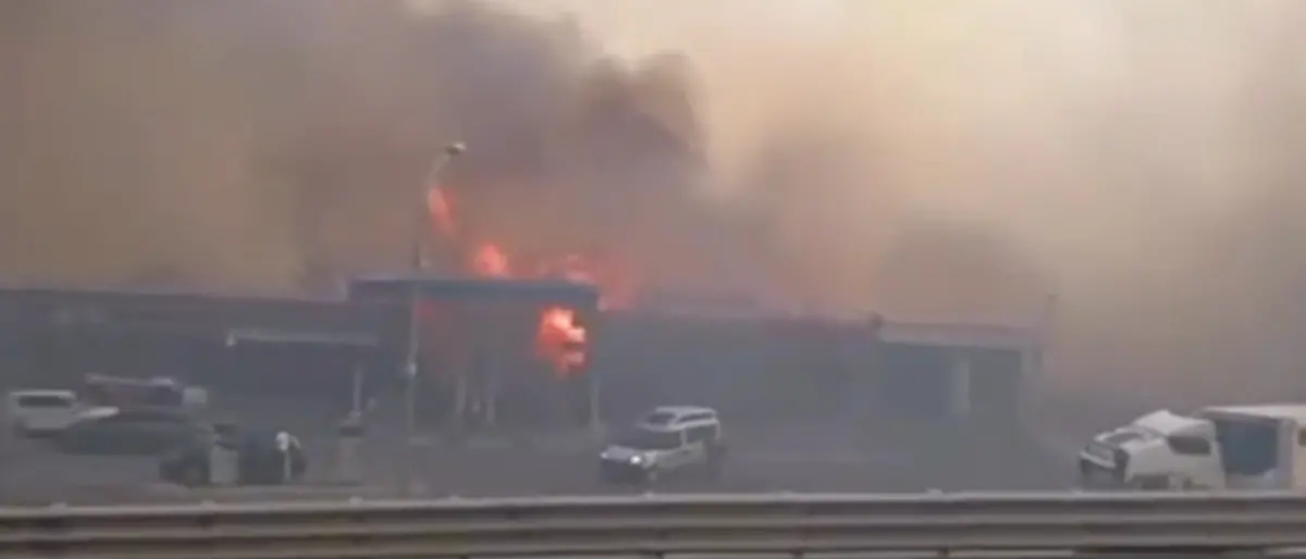 Gatti usati per appiccare incendi in Calabria, l’Oipa denuncia e chiede indagini\n