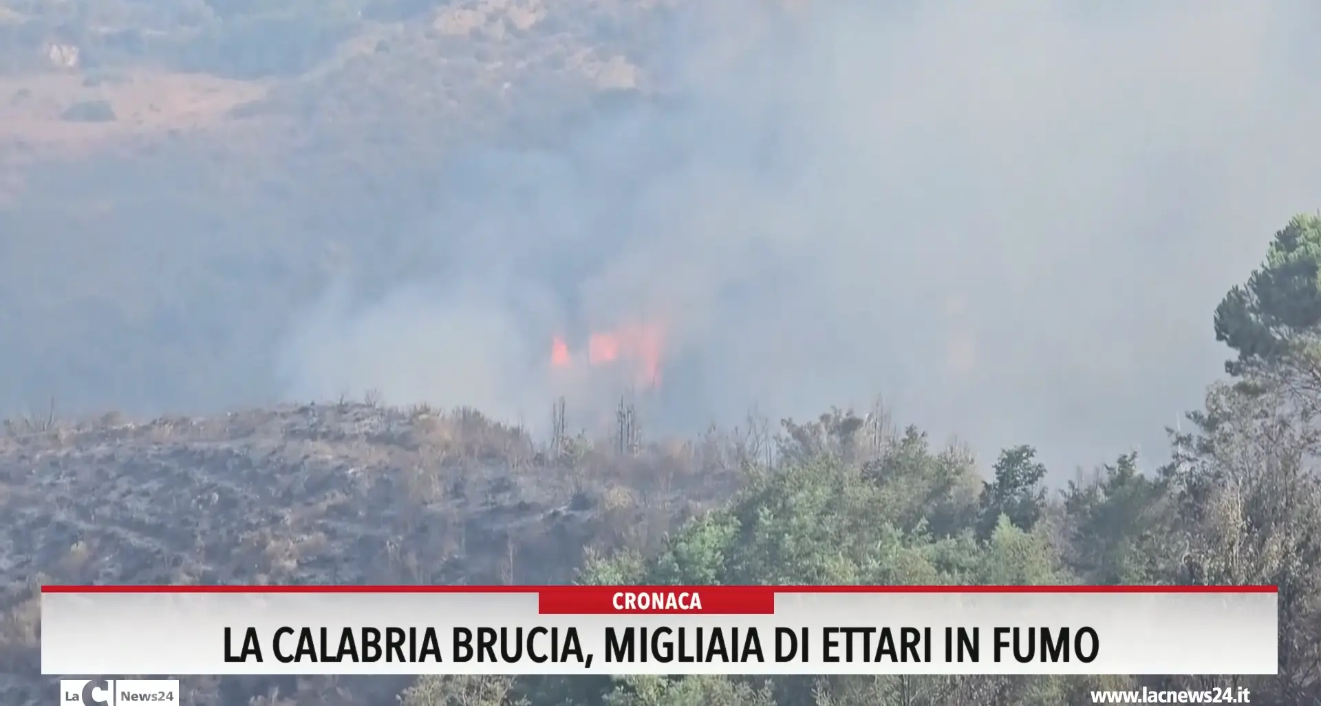 La Calabria brucia, migliaia di ettari in fumo