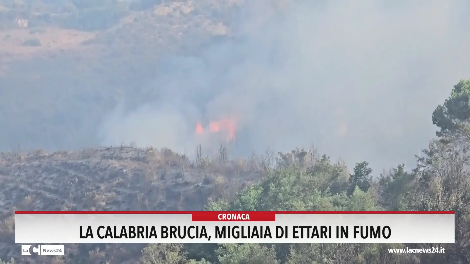 La Calabria brucia, migliaia di ettari in fumo