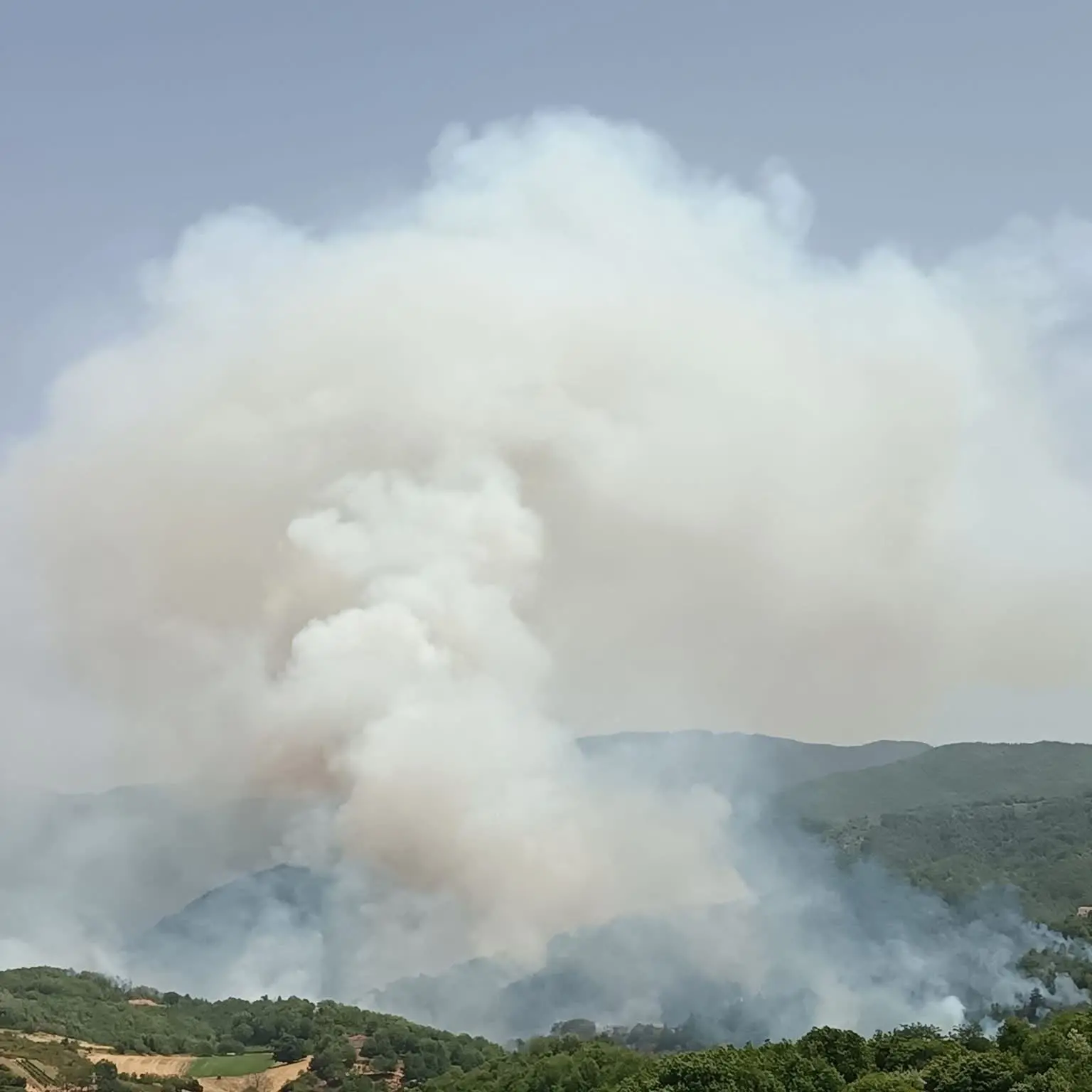 Incendio a San Giovanni in Fiore, quattro focolai in località Bonolegno\n