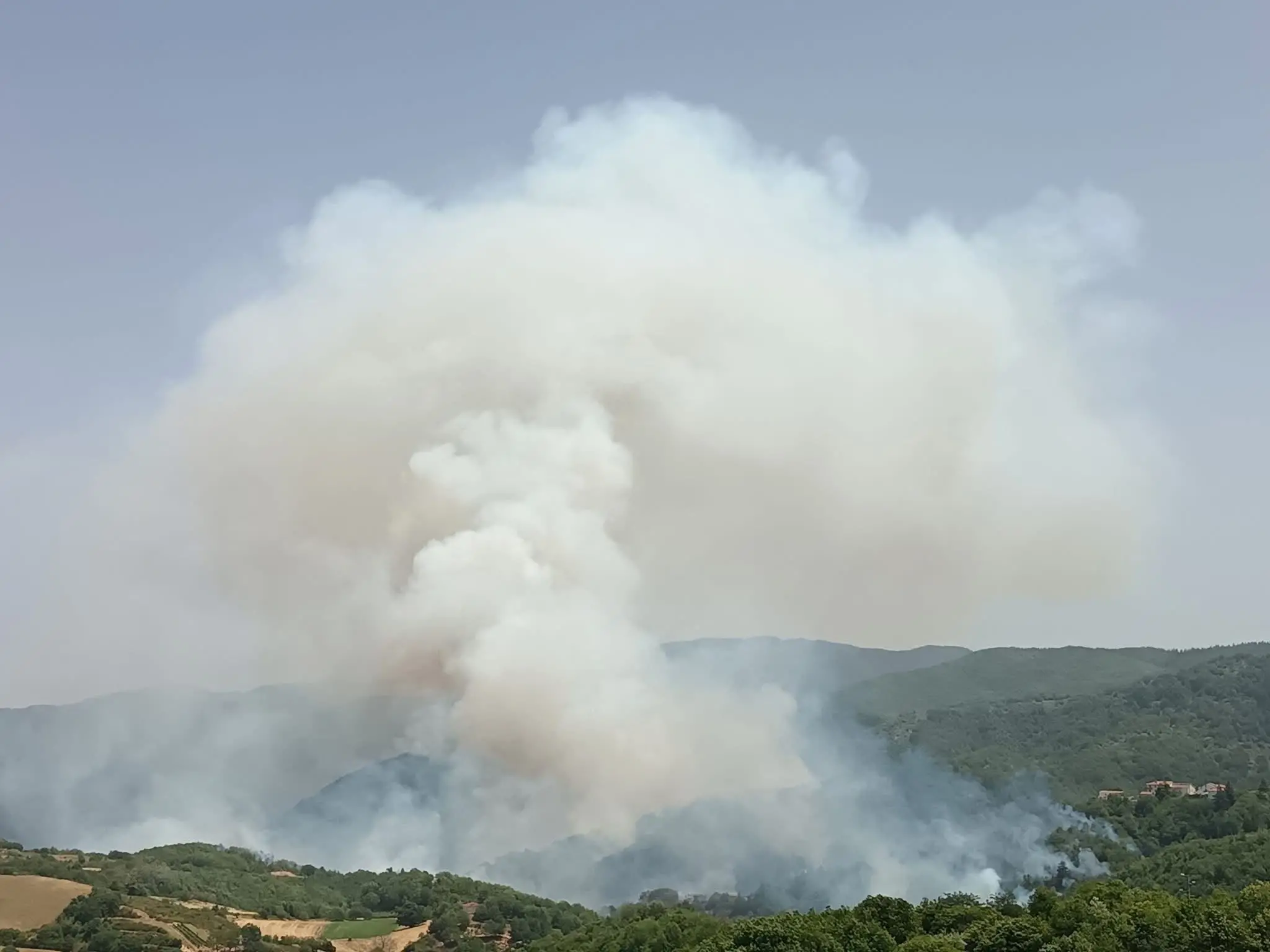 Incendio a San Giovanni in Fiore, quattro focolai in località Bonolegno\n