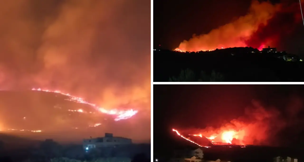 Incendi in Calabria, la strategia di criminali disumani: «Inneschi ritardati e gatti usati per propagare le fiamme»\n