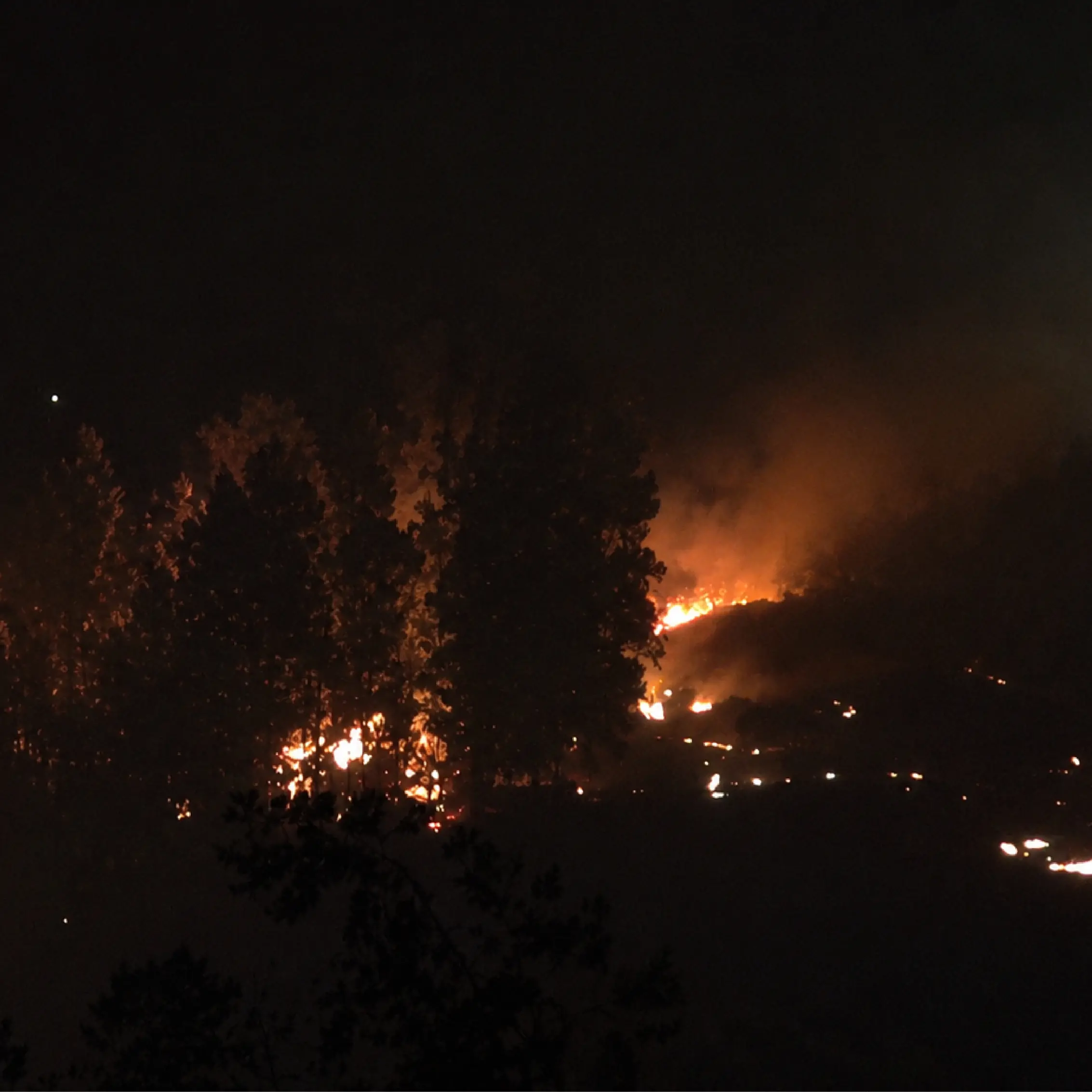 Incendio a Cassano, il vento sposta il fronte del fuoco: evacuazioni, malori e paura nelle case di Lauropoli\n