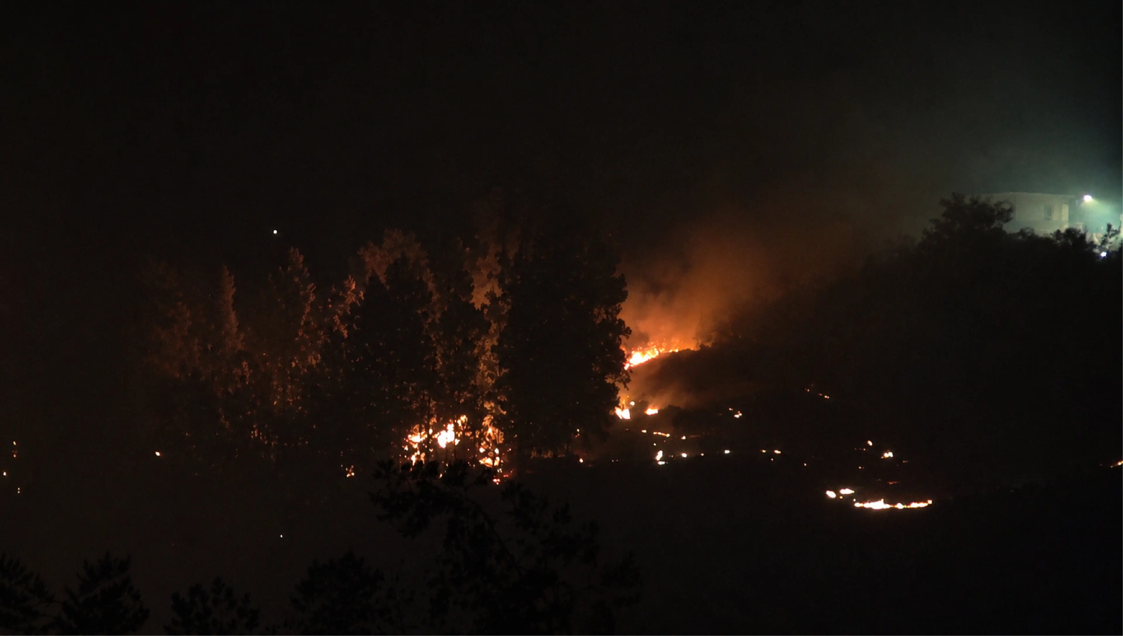 Incendio a Cassano, il vento sposta il fronte del fuoco: evacuazioni, malori e paura nelle case di Lauropoli\n