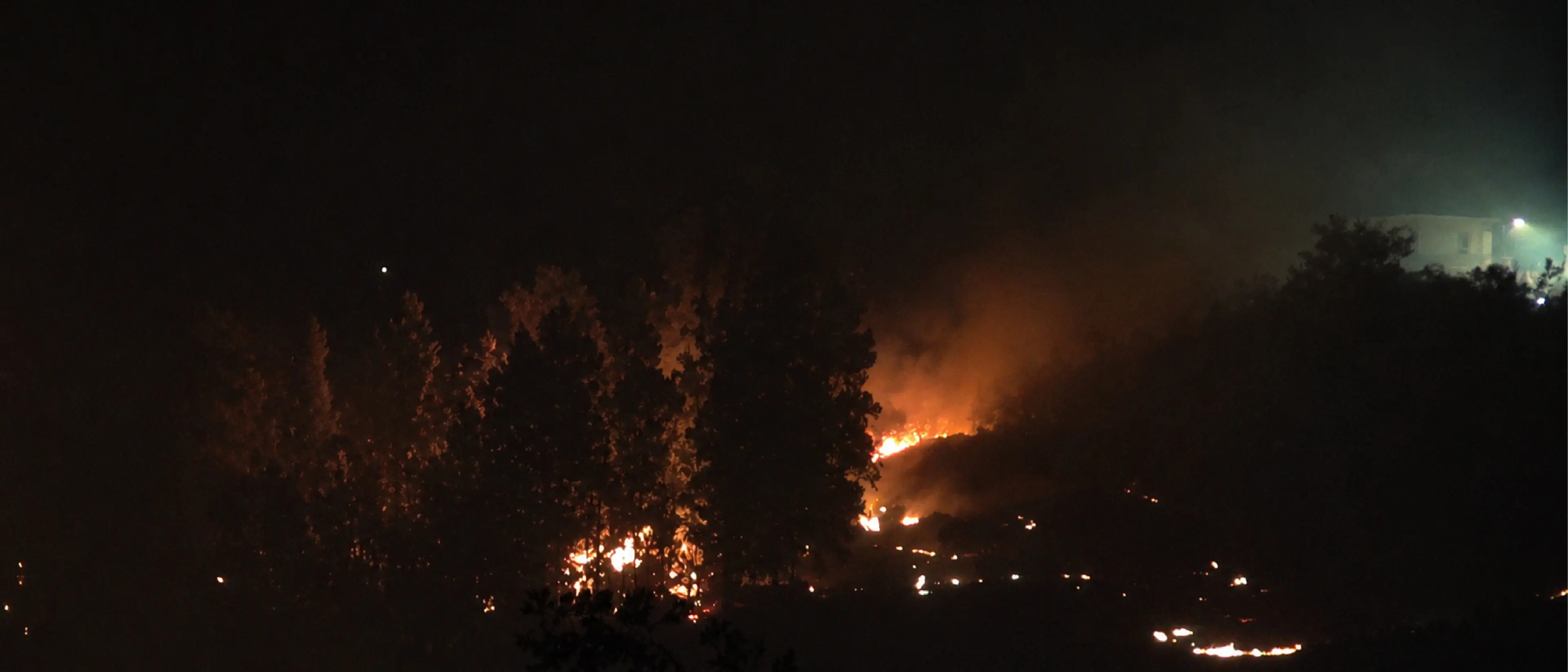 Incendio a Cassano, il vento sposta il fronte del fuoco: evacuazioni, malori e paura nelle case di Lauropoli\n
