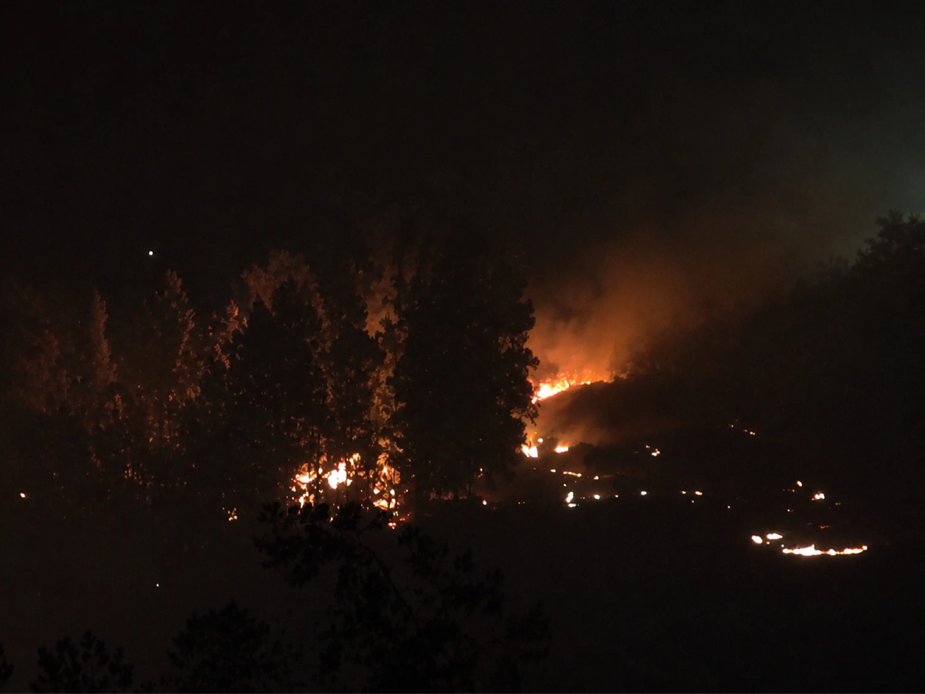 Incendio a Cassano, il vento sposta il fronte del fuoco: evacuazioni, malori e paura nelle case di Lauropoli