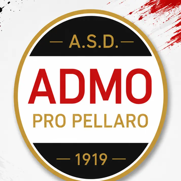 Calcio, a Reggio nasce Admo Pro Pellaro\n