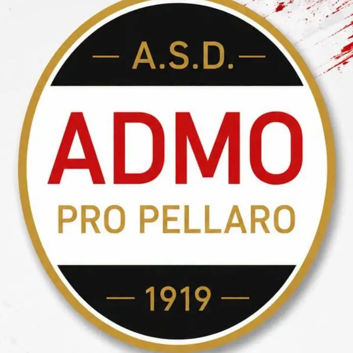 Bocale e Pro Pellaro uniscono le loro storie: nasce Admo Pro Pellaro, nuova sfida in Eccellenza\n