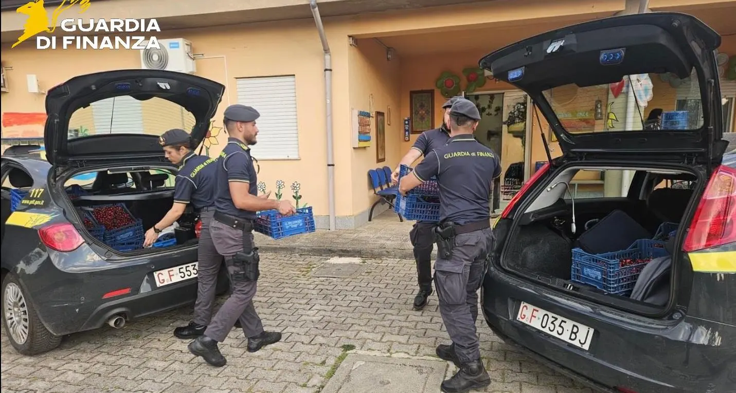 Controlli della Finanza sulla costa Vibonese, ambulanti nel mirino: sequestrati oltre 7.300 prodotti e denunciate 2 persone\n