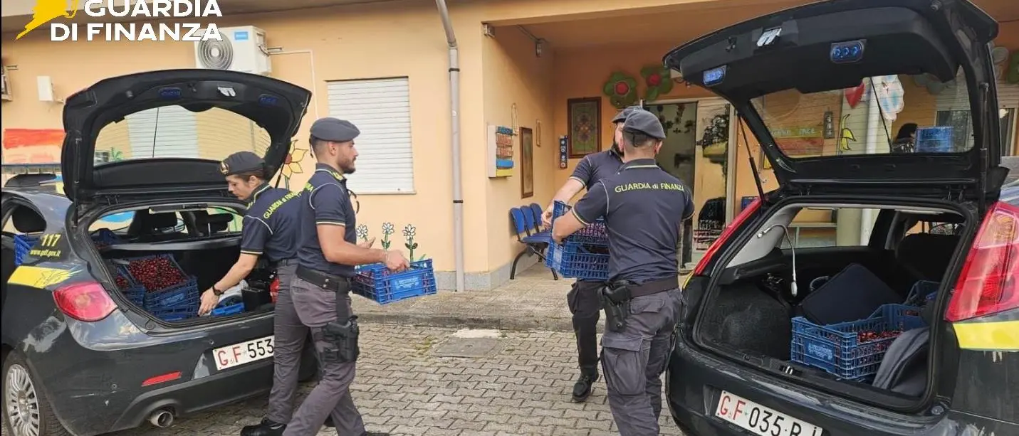 Controlli della Finanza sulla costa Vibonese, ambulanti nel mirino: sequestrati oltre 7.300 prodotti e denunciate 2 persone\n