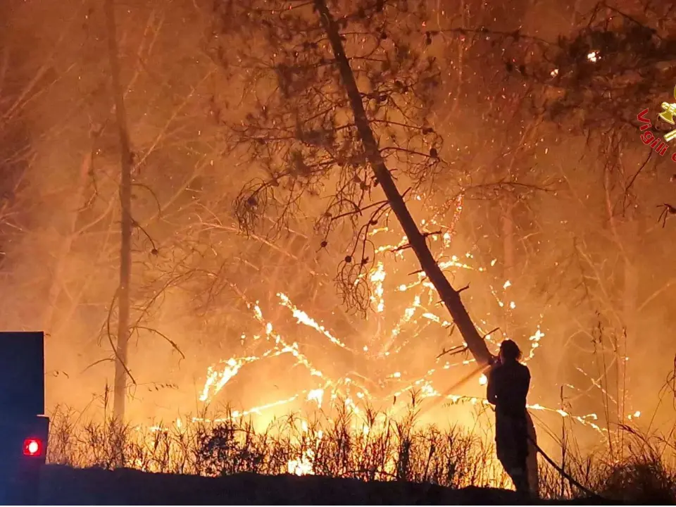 Incendi, un’altra notte di fuoco nel Vibonese e oltre 30 interventi dei pompieri. Le situazioni più critiche a Drapia e Zaccanopoli