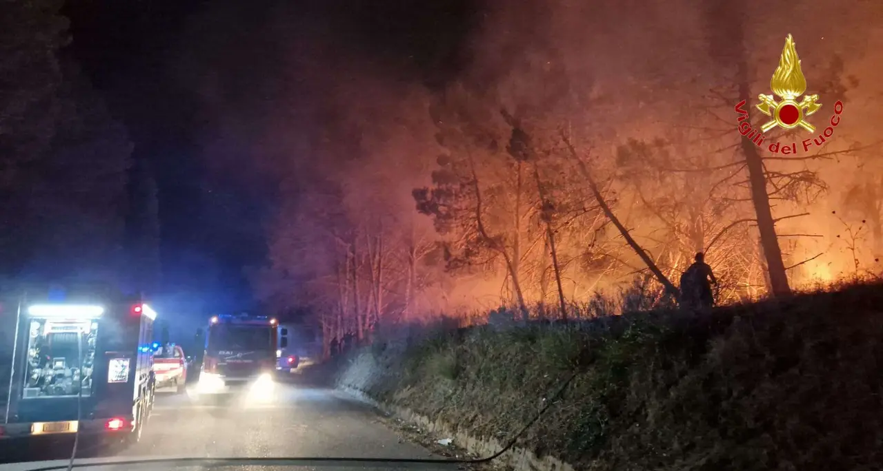 <p><span style=\"color:hsl(0, 75%, 60%);\">I droni non bastano</span>, Bombino dopo gli incendi in Calabria: «Chi vive la montagna può fare prevenzione»</p>