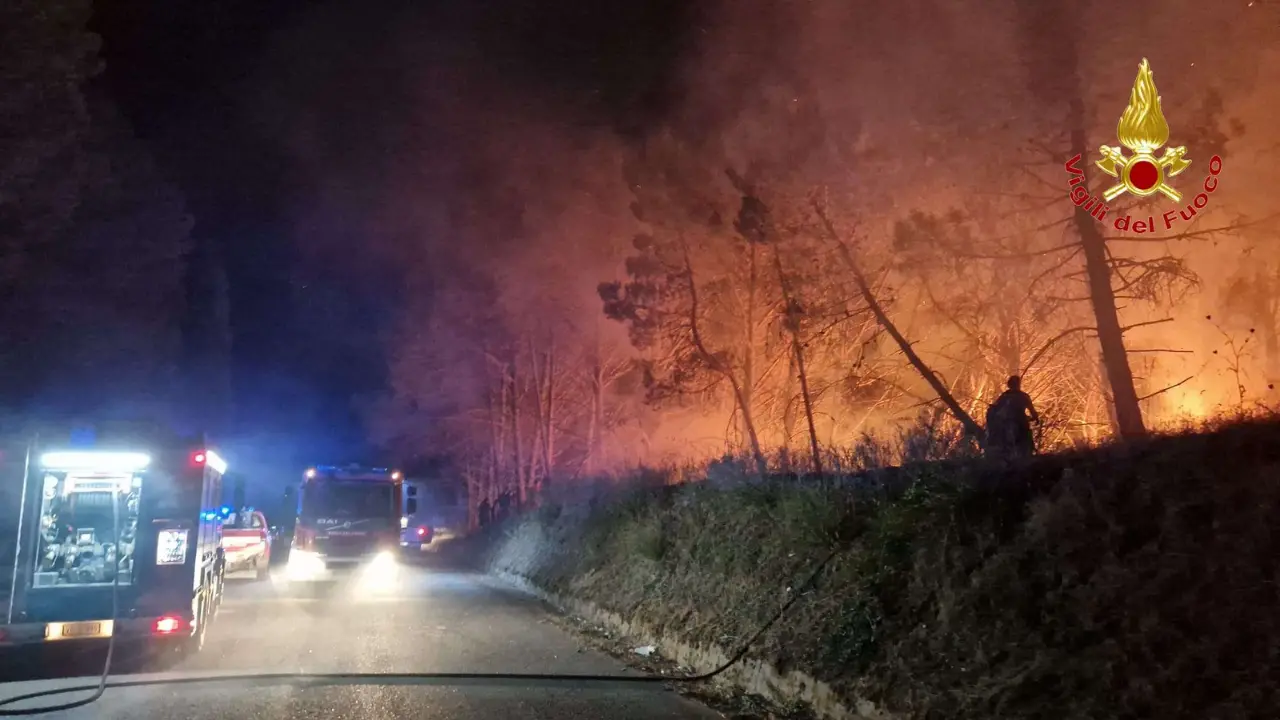 Incendi in Calabria, Bombino: «I droni non bastano, serve riportare la prevenzione tra chi vive la montagna»\n
