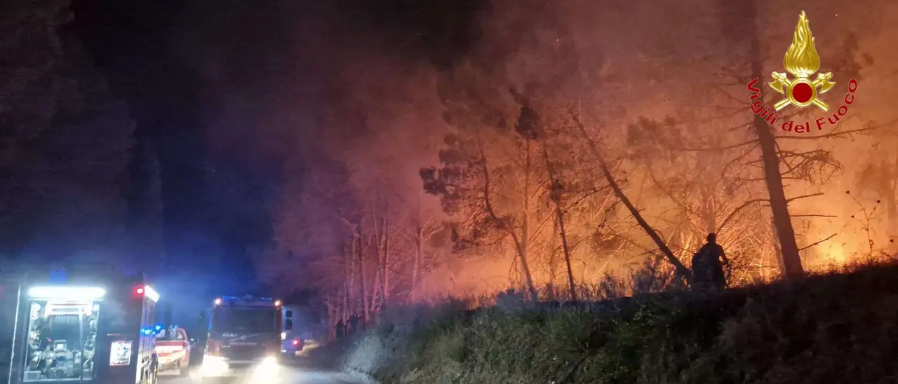 Incendi in Calabria, Bombino: «I droni non bastano, serve riportare la prevenzione tra chi vive la montagna»\n