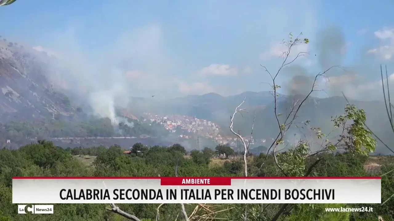 Calabria seconda in Italia per incendi boschivi