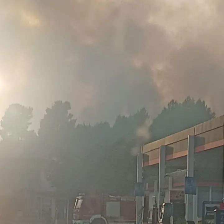A Morano si continua a lottare contro il fuoco, operazioni di spegnimento in corso. Rientra l’emergenza a Frascineto\n