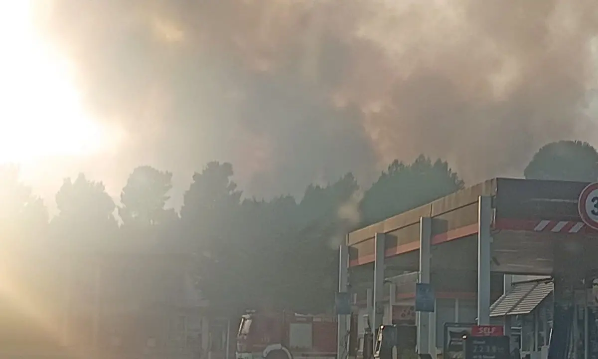 A Morano si continua a lottare contro il fuoco, operazioni di spegnimento in corso. Rientra l’emergenza a Frascineto\n