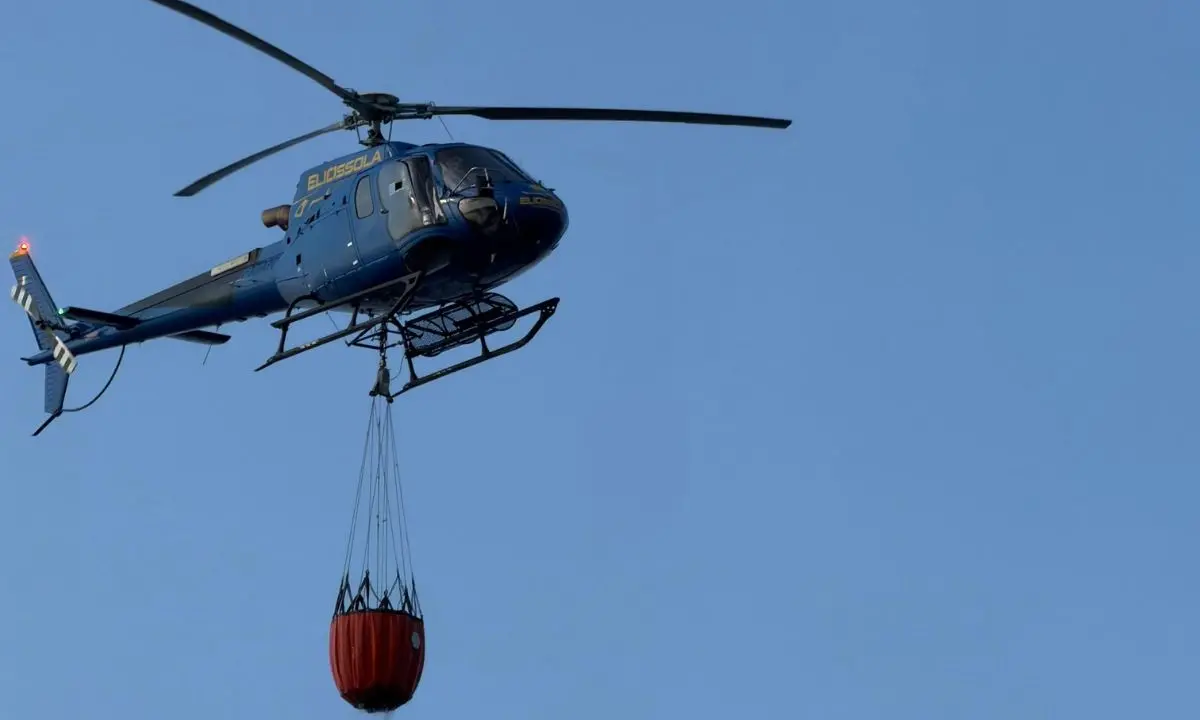 Incendi in Calabria, Stasi attacca la Regione: «Servono prevenzione, pianificazione e opere concrete»\n