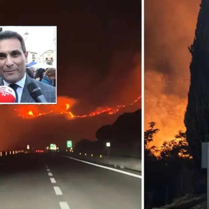 Pollino ferito dagli incendi, Lirangi: «Danni enormi alla biodiversità. Ora capiremo cosa è successo»\n