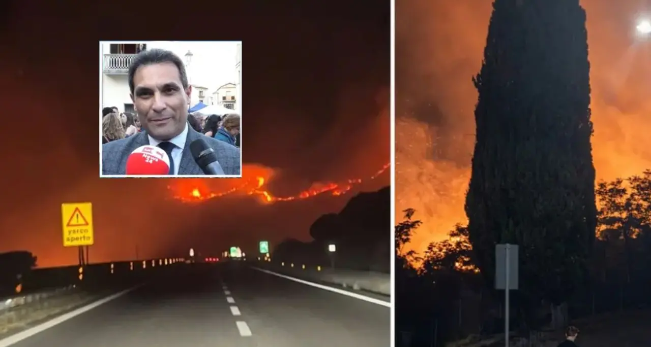 Pollino ferito dagli incendi, Lirangi: «Danni enormi alla biodiversità. Ora capiremo cosa è successo»\n