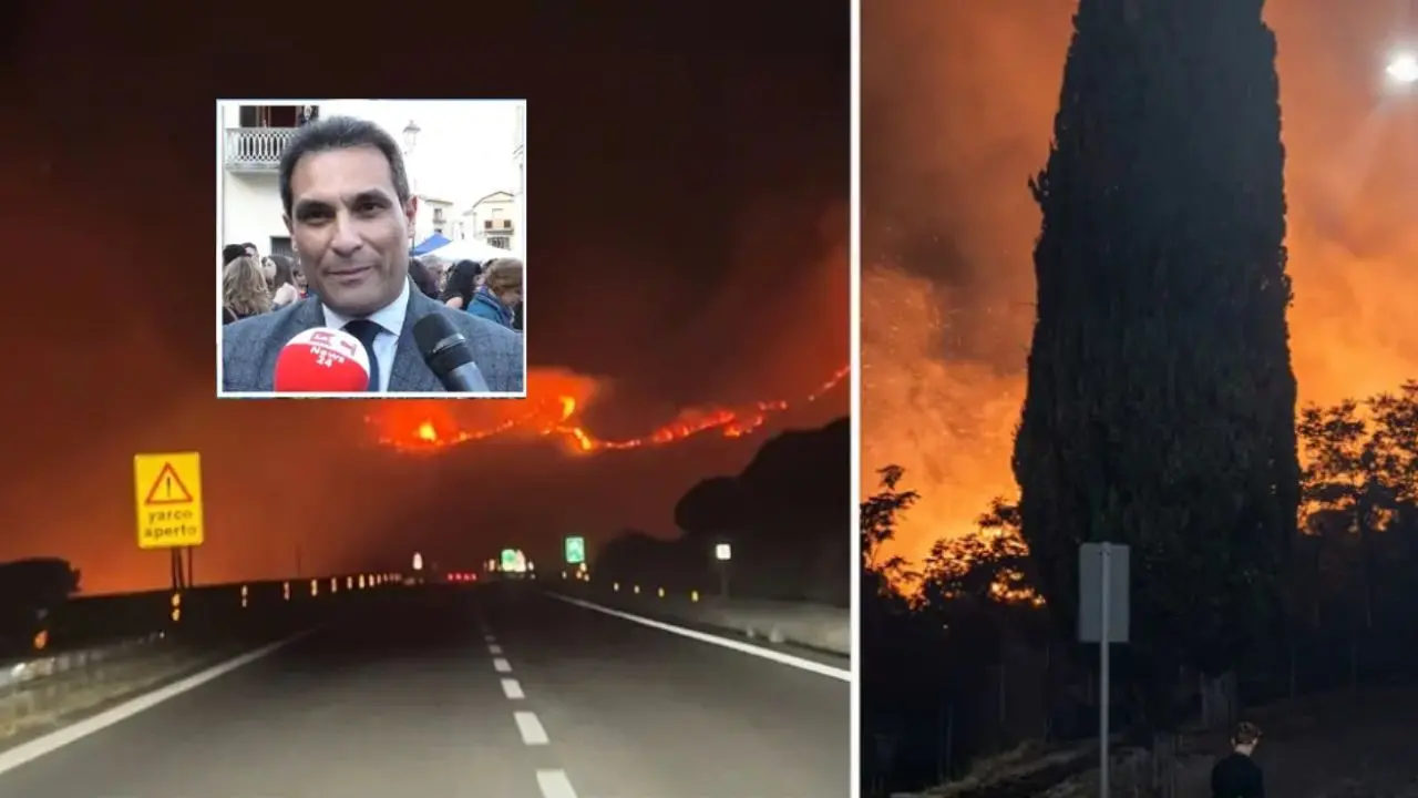 Pollino ferito dagli incendi, Lirangi: «Danni enormi alla biodiversità. Ora capiremo cosa è successo»\n