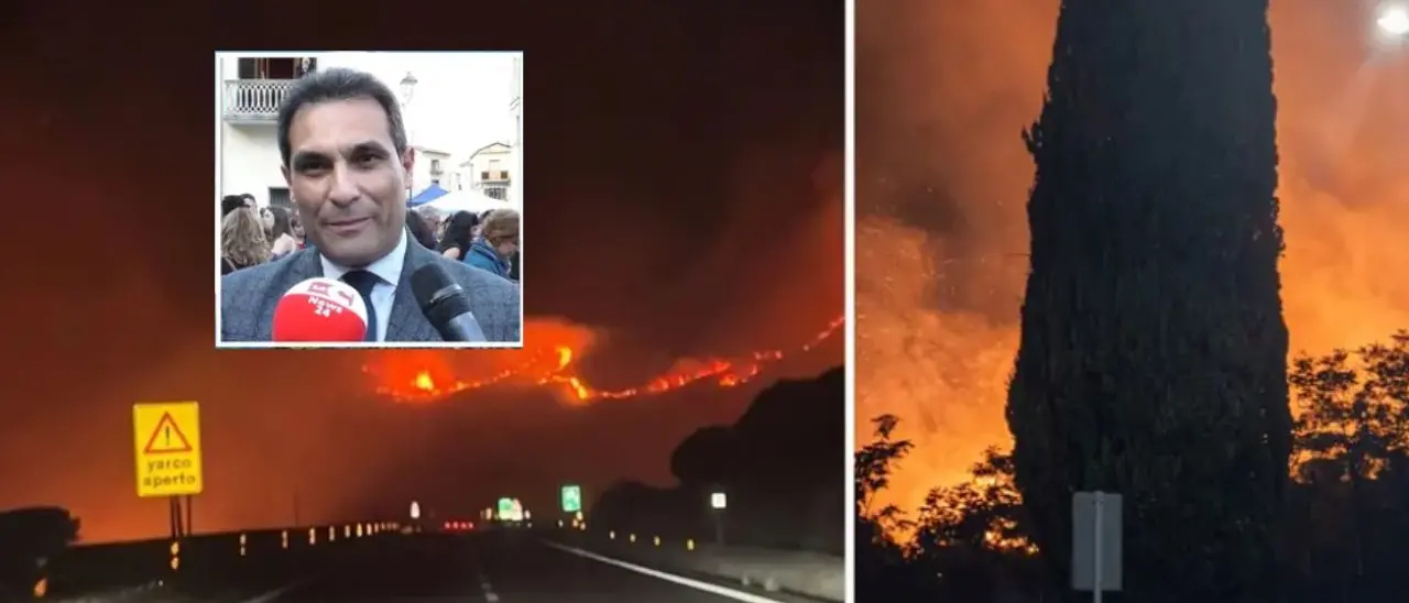 Pollino ferito dagli incendi, Lirangi: «Danni enormi alla biodiversità. Ora capiremo cosa è successo»\n