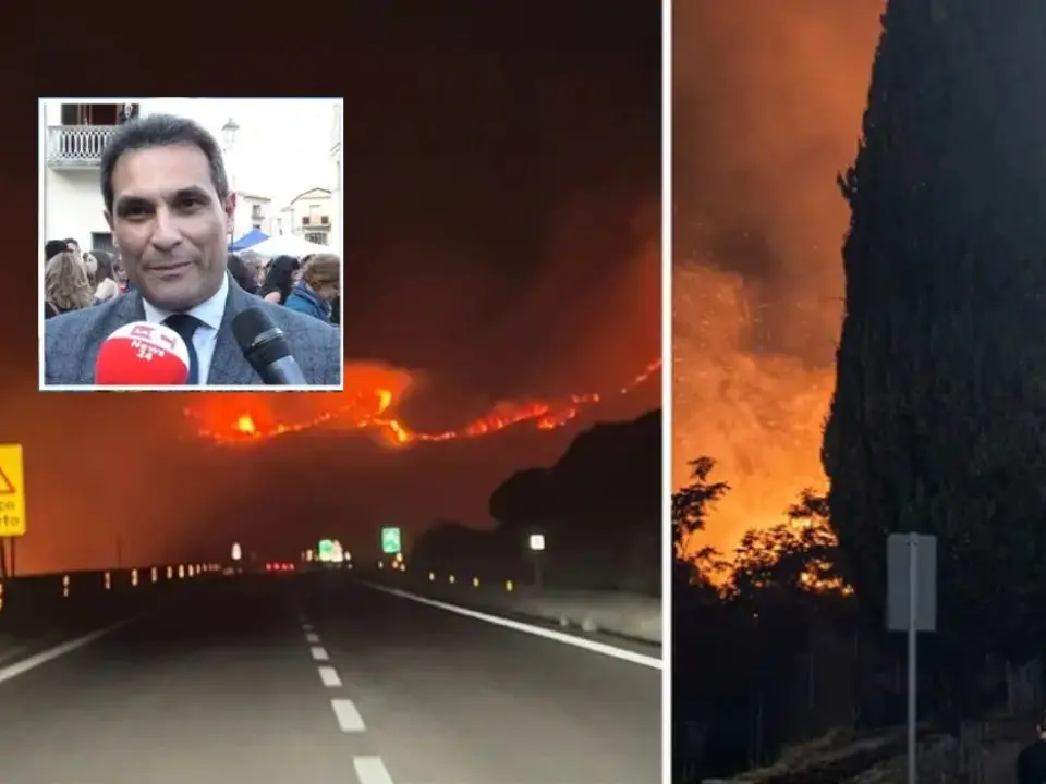 Pollino ferito dagli incendi, Lirangi: «Danni enormi alla biodiversità. Ora capiremo cosa è successo»