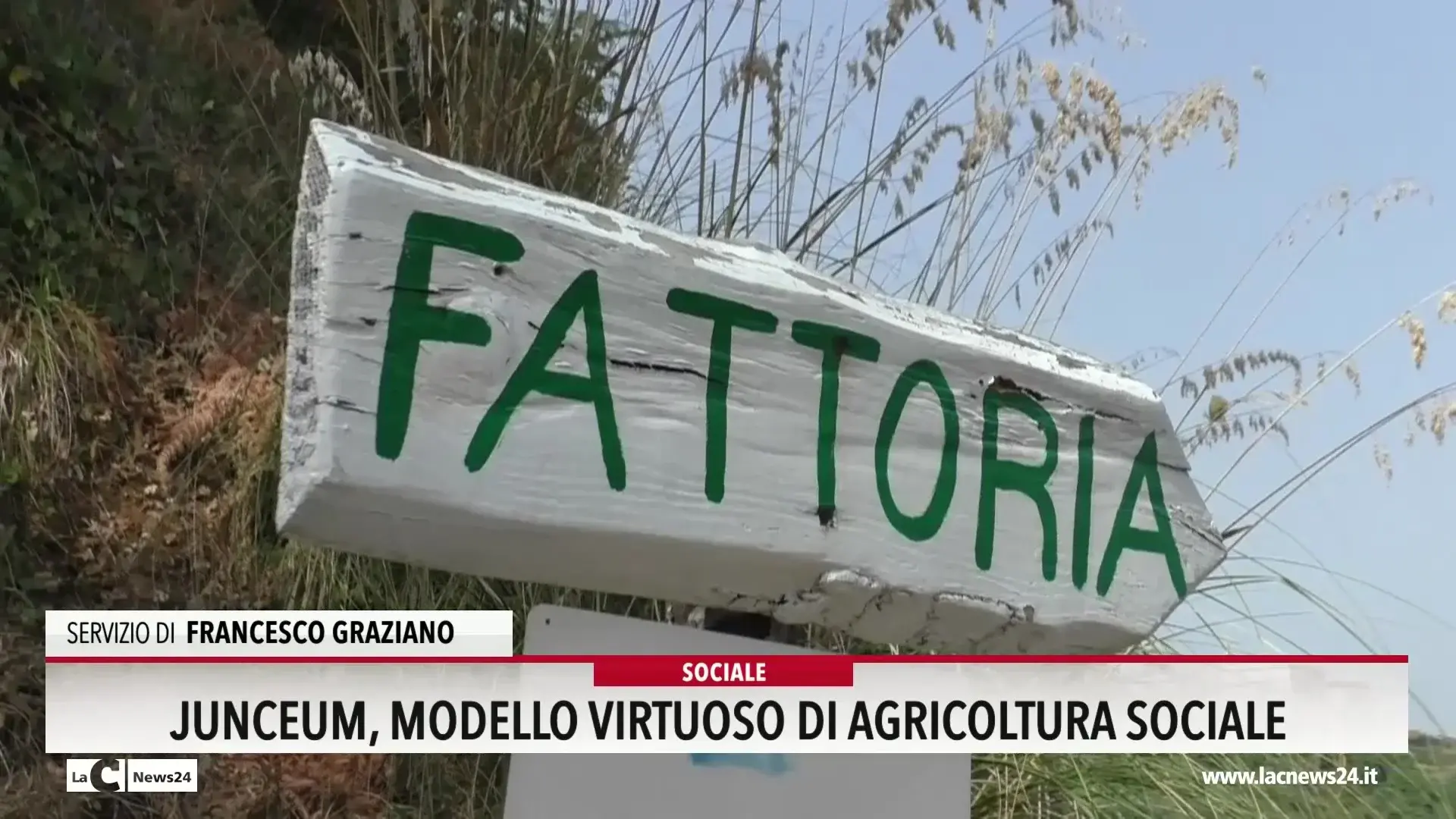 Junceum, modello virtuoso di agricoltura sociale