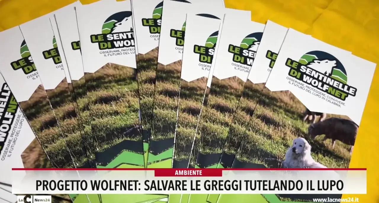 Progetto Wolfnet: salvare le greggi tutelando il lupo