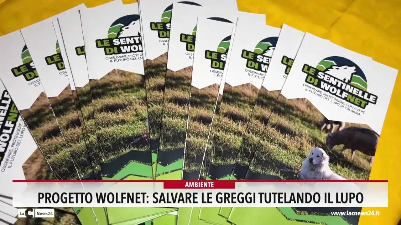 Progetto Wolfnet: salvare le greggi tutelando il lupo