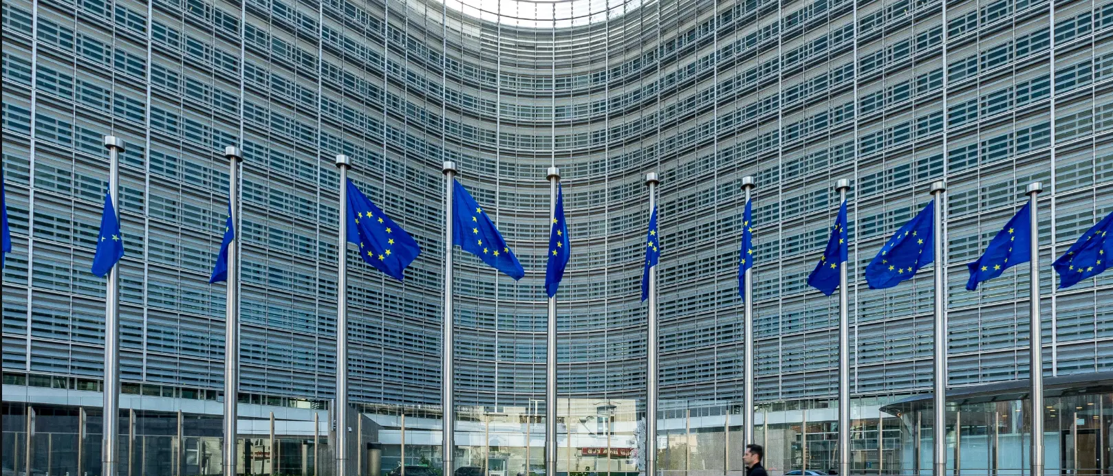 Normalizzare Reggio: dal Granillo all'acqua, la strada passa per l'Europa\n