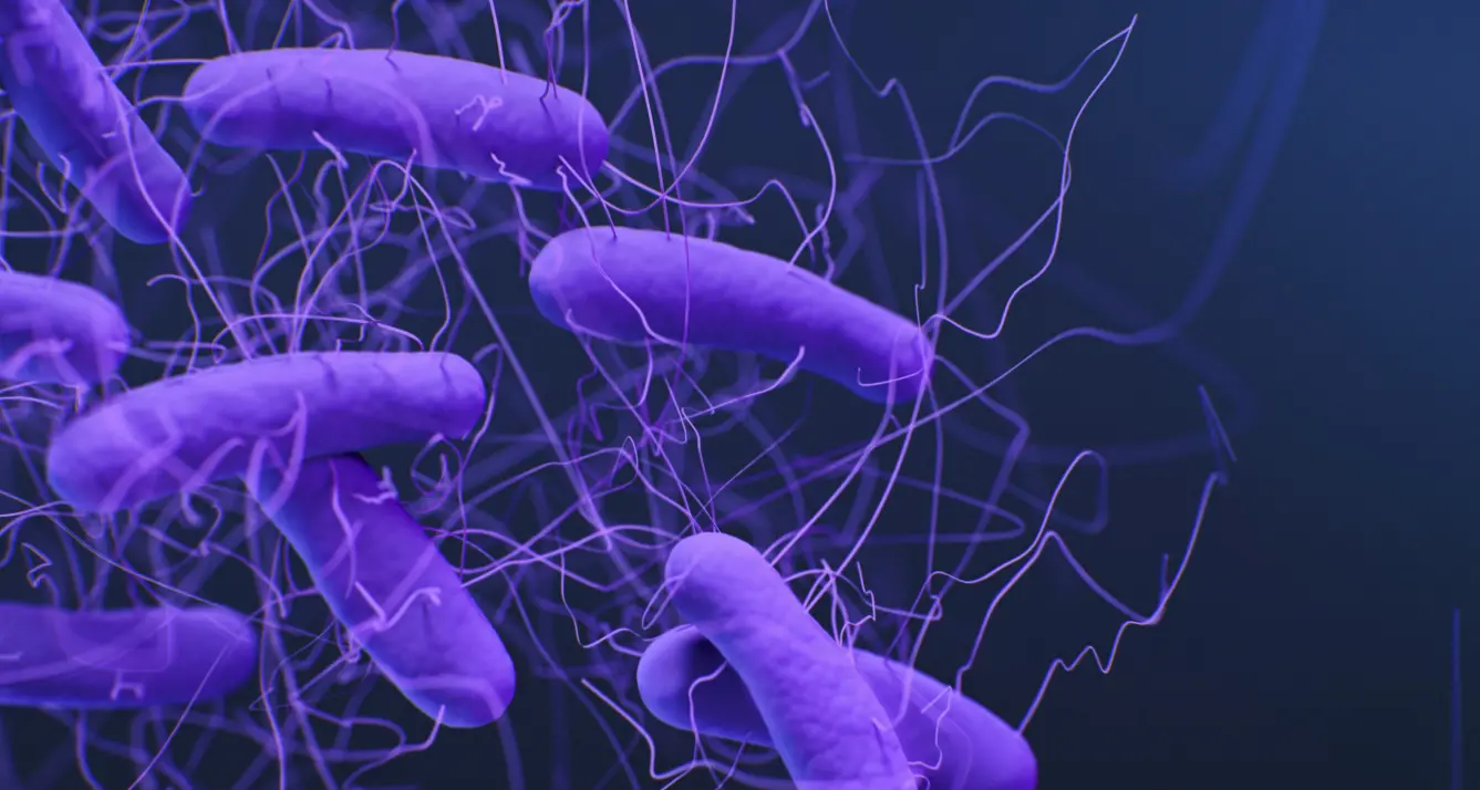 Clostridium difficile, cos’è il batterio killer sospettato nel caso dell’asilo di Tropea e perché può diventare pericoloso\n