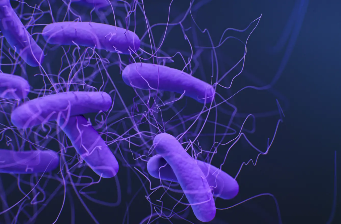 Clostridium difficile, cos’è il batterio killer sospettato nel caso dell’asilo di Tropea e perché può diventare pericoloso\n