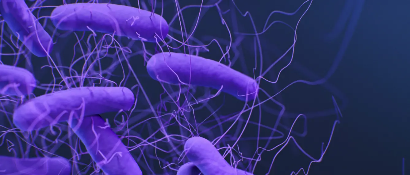 Clostridium difficile, cos’è il batterio killer sospettato nel caso dell’asilo di Tropea e perché può diventare pericoloso\n