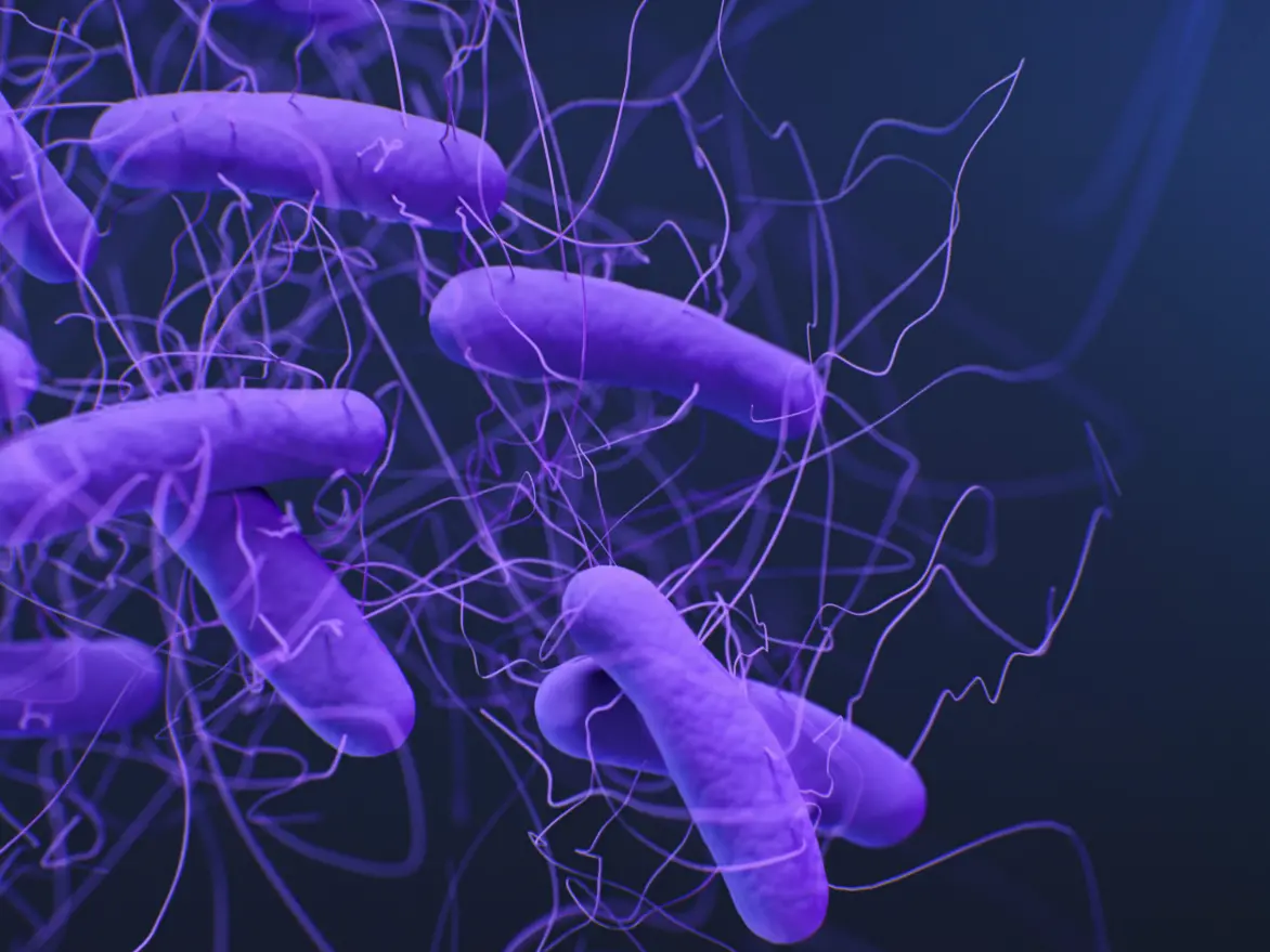 Clostridium difficile, cos’è il batterio killer sospettato nel caso dell’asilo di Tropea e perché può diventare pericoloso