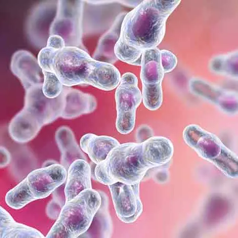 <p>Clostridium difficile,<span style=\"color:hsl(0,75%,60%);\"> </span>il batterio killer sospettato di aver ucciso un bambino a Tropea: tutte le domande e le risposte</p>