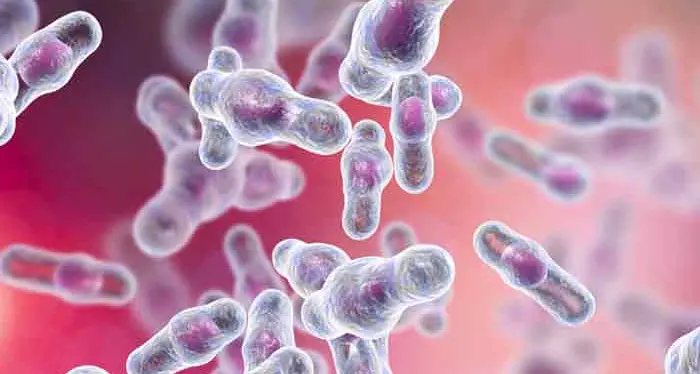 <p>Clostridium difficile,<span style=\"color:hsl(0, 75%, 60%);\"> il batterio killer</span> sospettato di aver ucciso un bambino a Tropea: tutte le domande e le risposte</p>