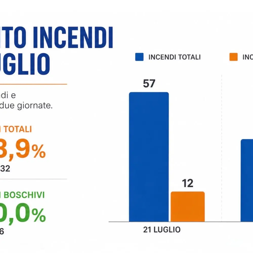 Incendi, Costarella: «In Calabria roghi in calo del 43,9% nelle ultime 24 ore. Crescono le segnalazioni dei cittadini»\n