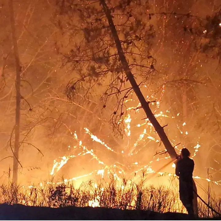 La Calabria brucia ancora: viaggio dentro un'emergenza che non è più soltanto climatica\n