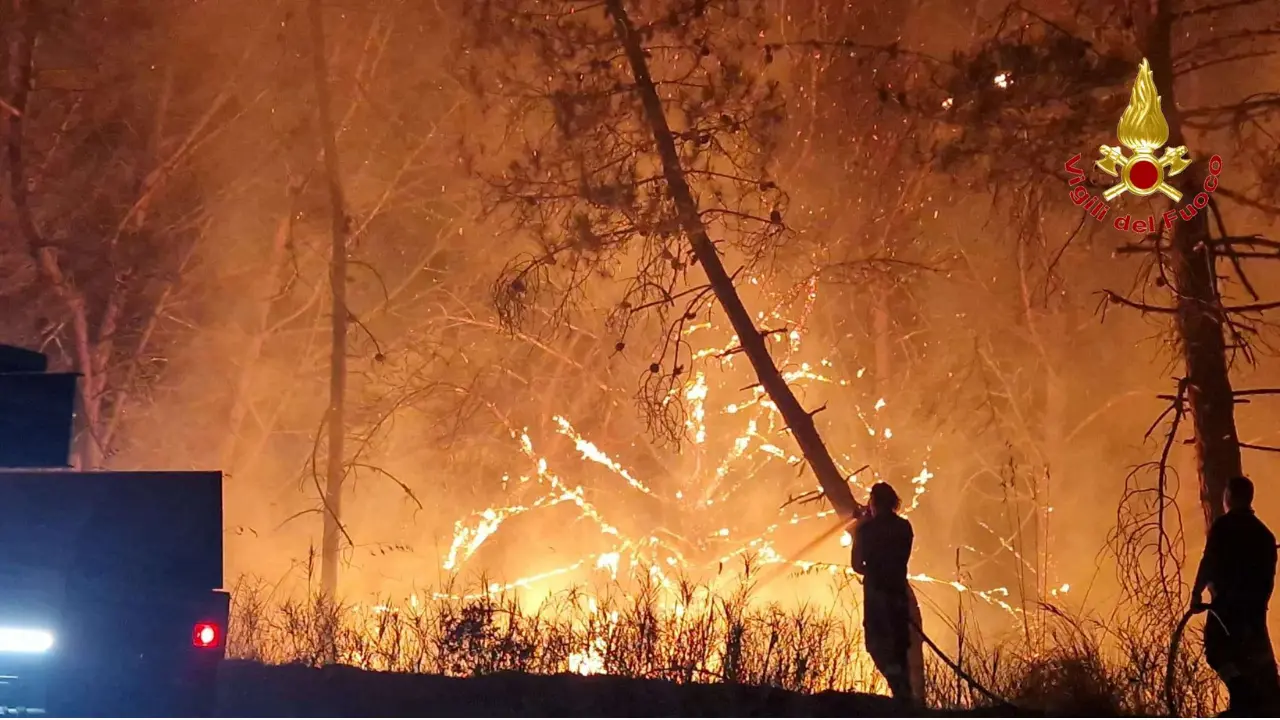 La Calabria brucia ancora: viaggio dentro un'emergenza che non è più soltanto climatica\n