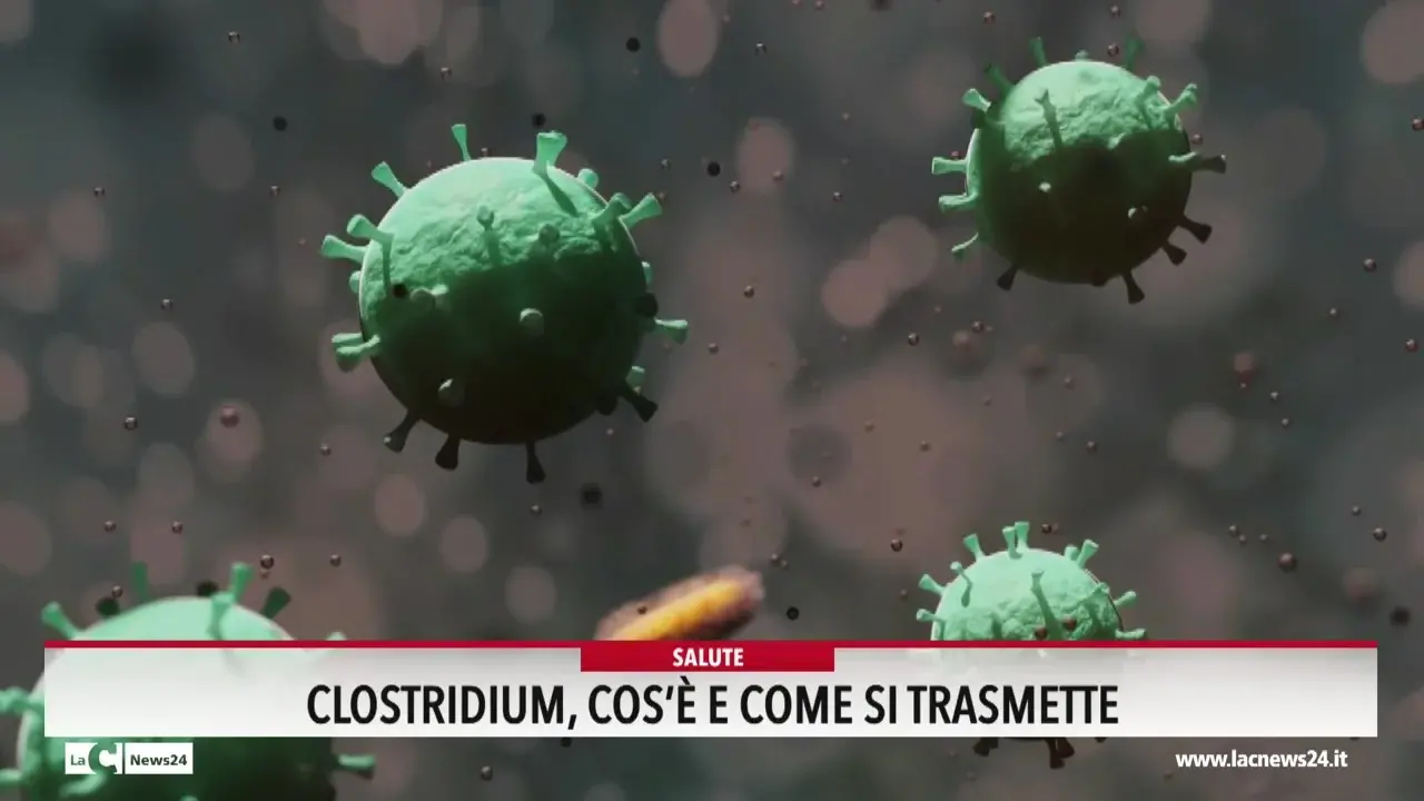 Clostridium: cos'è e come si trasmette