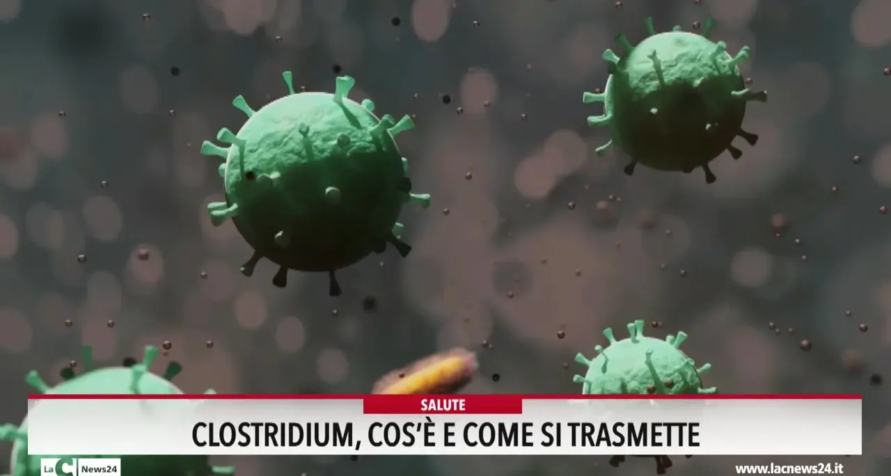 Clostridium: cos'è e come si trasmette