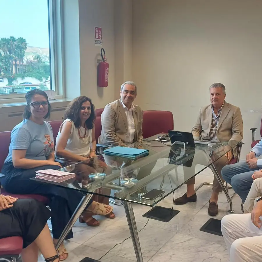 Rischio idrogeologico, riunione in Regione con gli studiosi\u00A0della Mediterranea e dell’Università di Rio de Janeiro\n