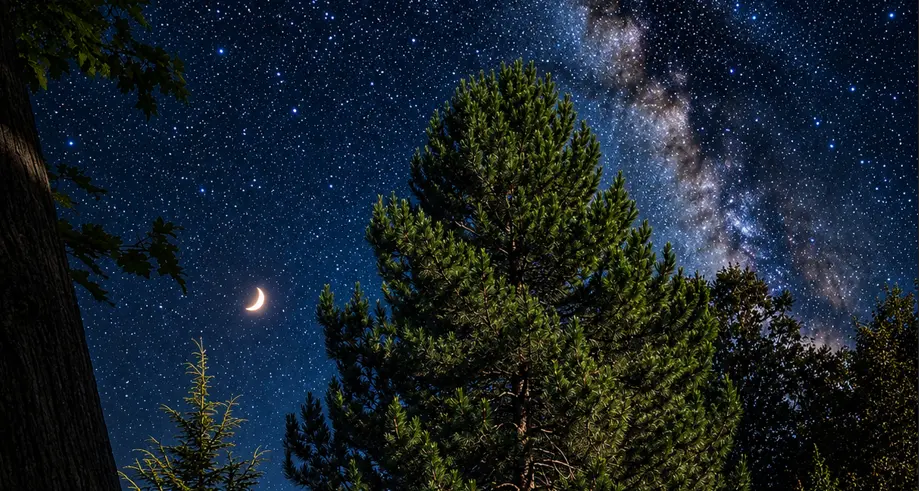 Dove vedere la Via Lattea in provincia di Cosenza: i 10 luoghi dove il cielo è ancora davvero buio\n