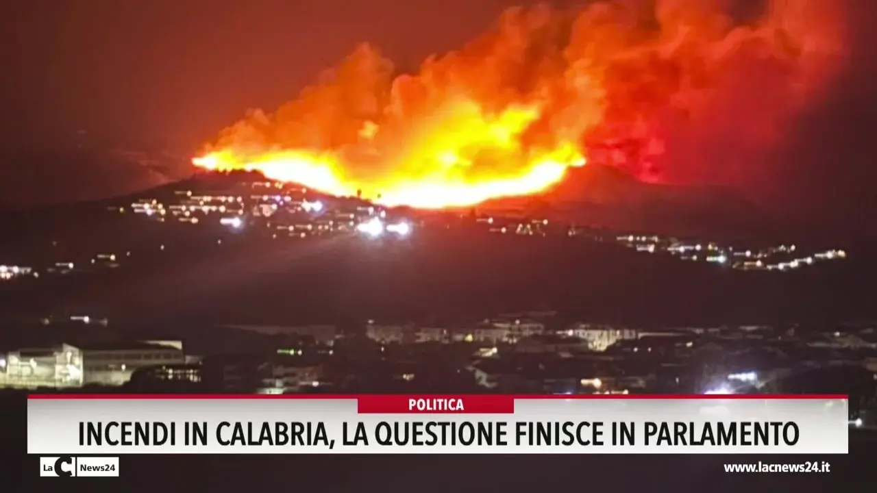 Incendi in Calabria, la questione finisce in Parlamento