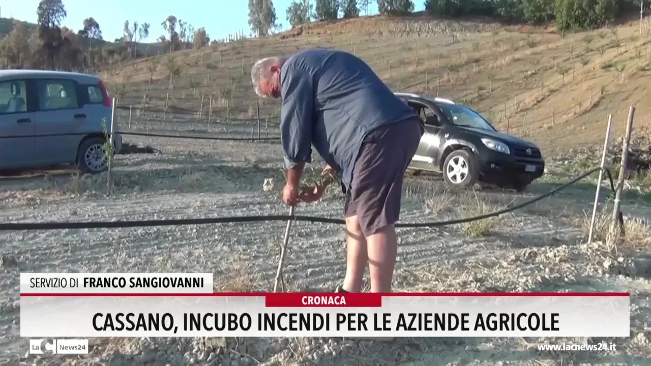 Cassano, l'incendio e il rischio per le aziende agricole