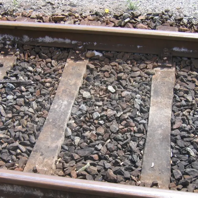<p>Tragedia sui binari: uomo investito dal treno in corsa mentre lavorava con la motosega</p>
