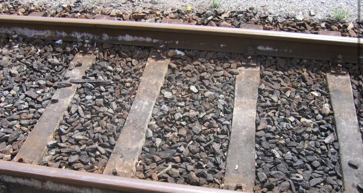 Tragedia sui binari: uomo investito dal treno corsa mentre lavorava con la motosega\n