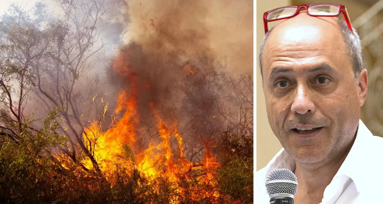 La Calabria brucia, Bevilacqua: «La storia dei gatti incendiari è una bufala, qui non si fa prevenzione»\n