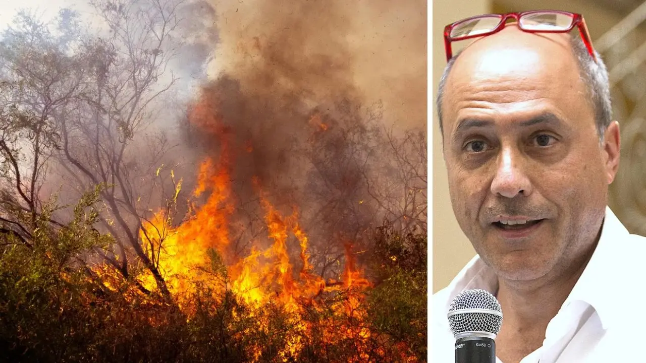 La Calabria brucia, Bevilacqua: «La storia dei gatti incendiari è una bufala, qui non si fa prevenzione»\n